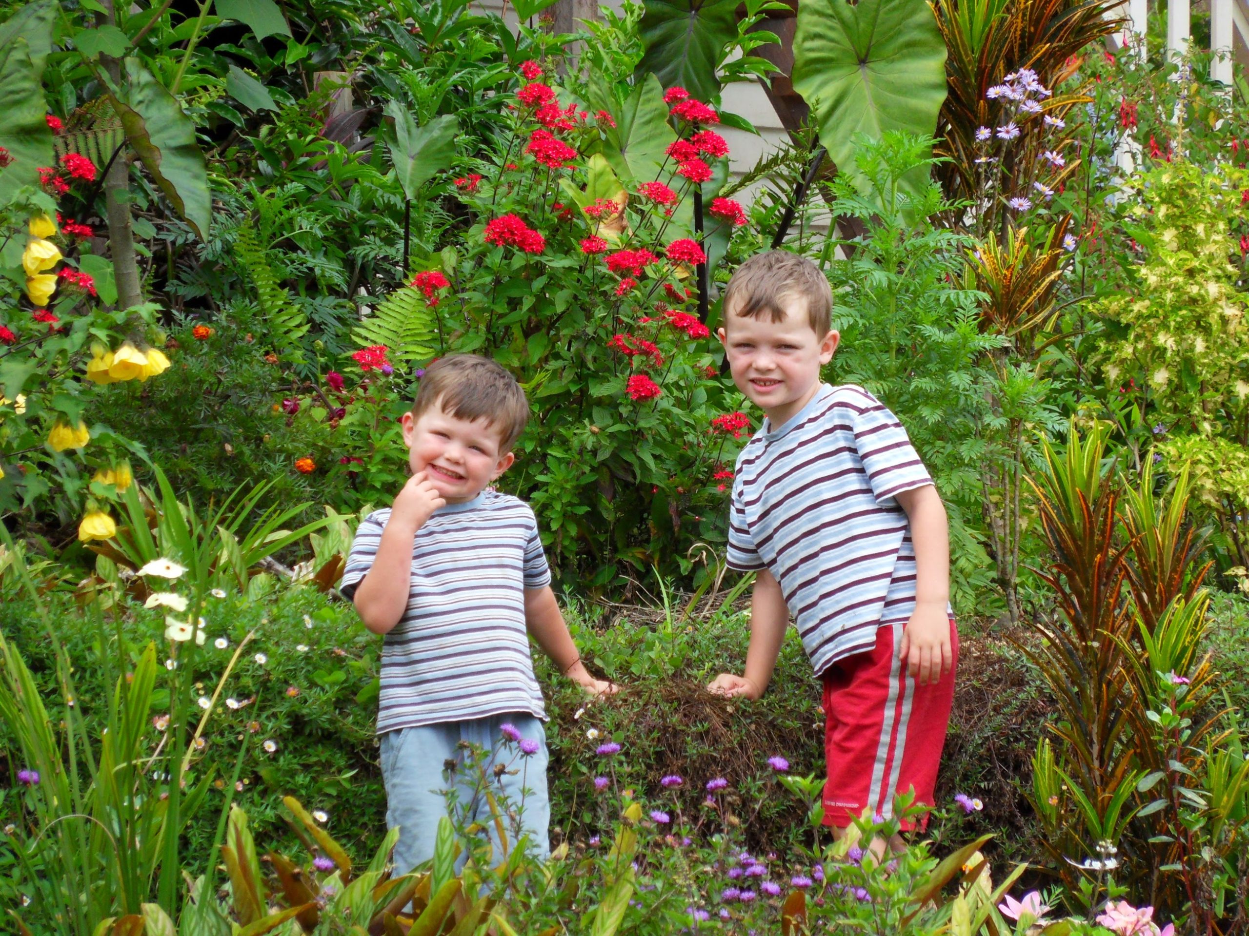 Joshua and his brother in a garden, surrounded by flowers and greenery