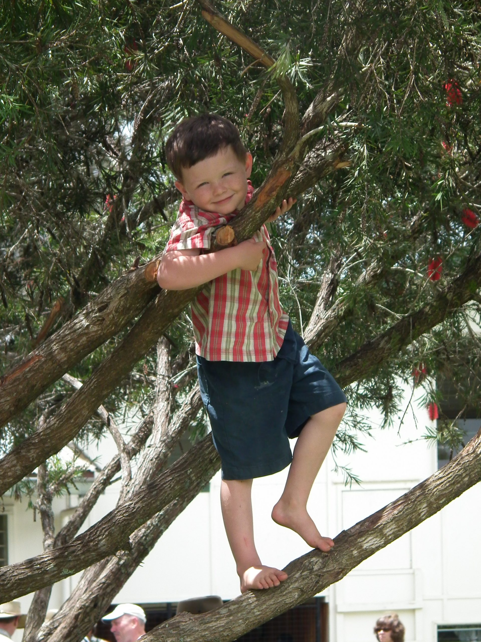 Joshua, barefoot, climbs a tree