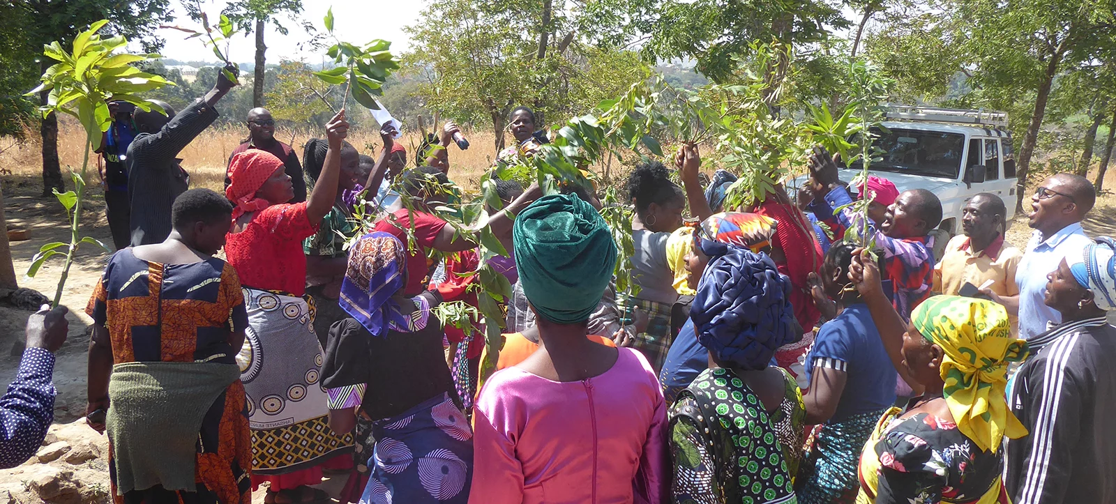 Image of people waving branches during the procession at the launch of the Safwa New Testament