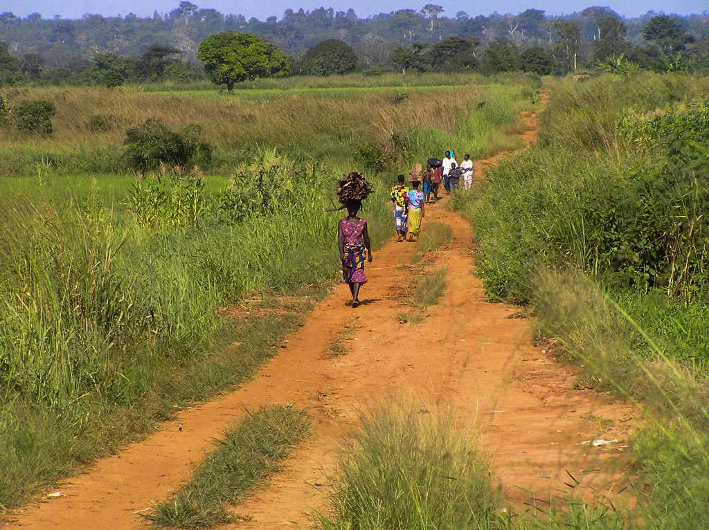 Image of a rural road in Togo